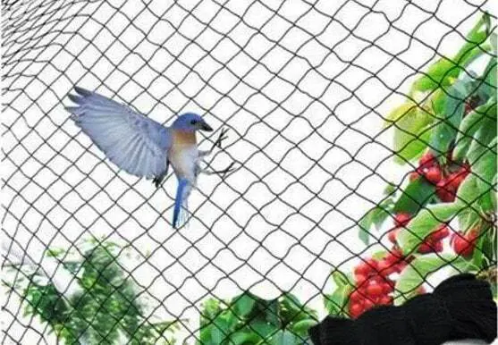 Anti bird nets icon
