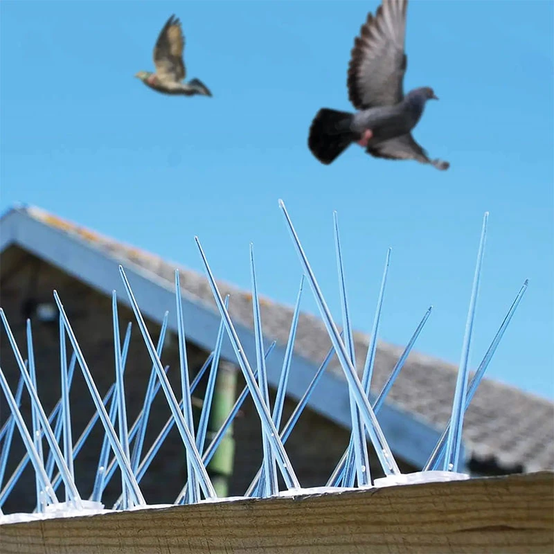 Bird spikes icon