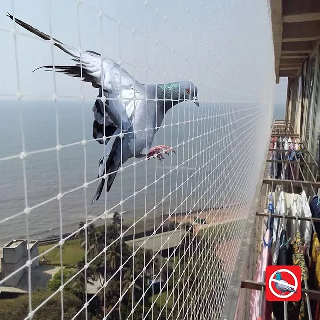 Bird net installation service in Hyderabad