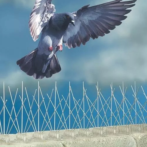 Completed pigeon spikes installation in Hyderabad
