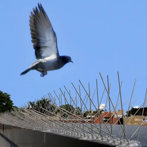Bird spikes installation process in Hyderabad