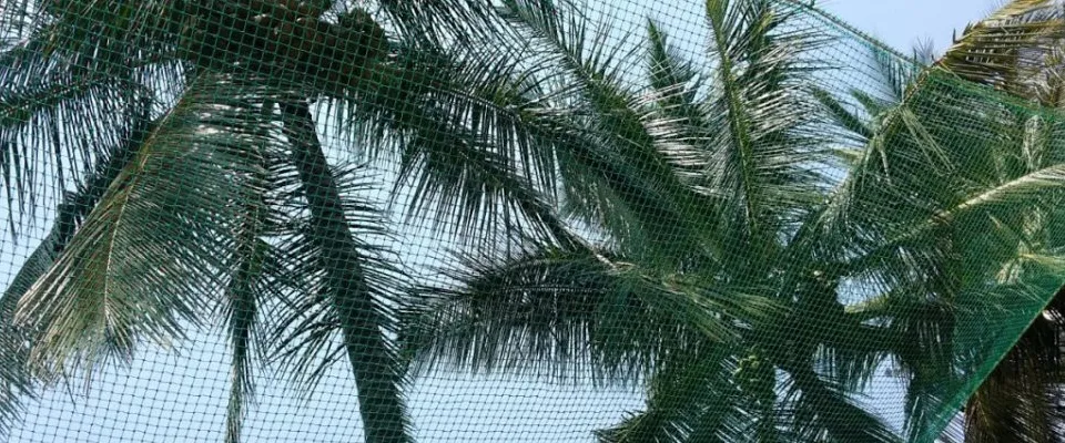 Coconut safety net installation in Hyderabad