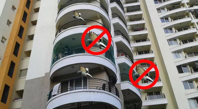 Anti Bird Nets in Hyderabad