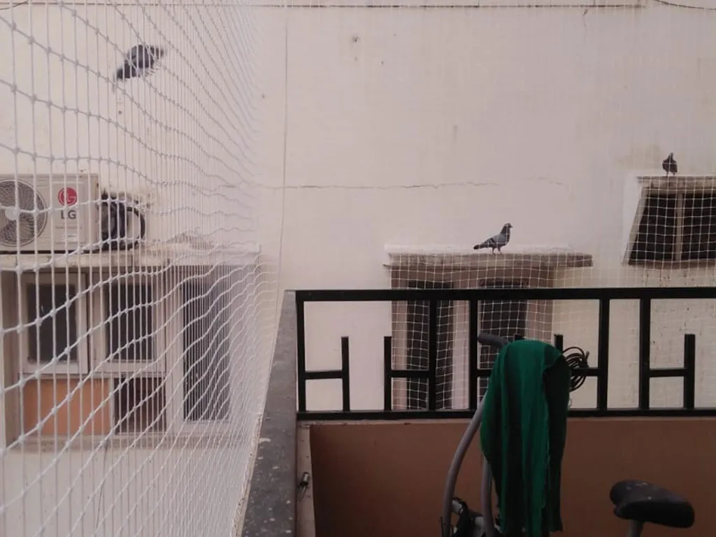 Anti Bird Nets Dealers in Hyderabad