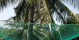 Coconut Safety Nets in Hyderabad