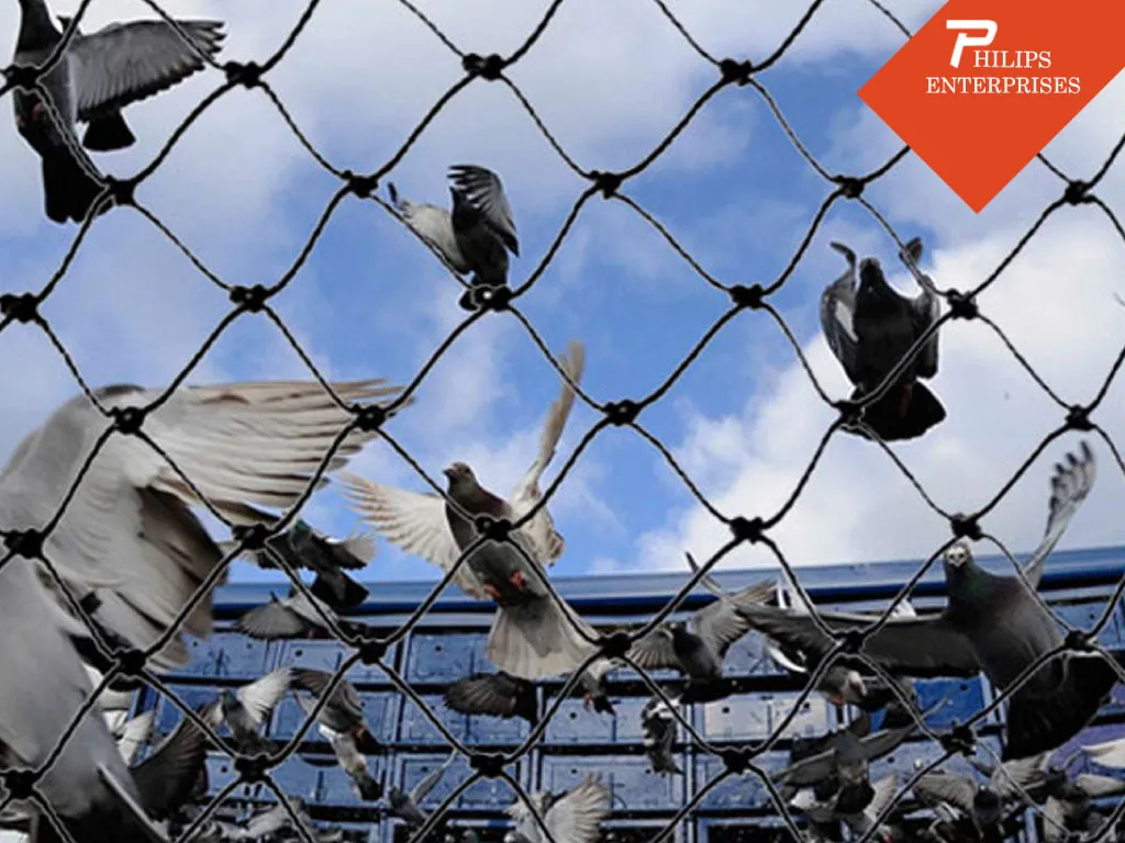 Birds Spikes in Hyderabad in Hyderabad