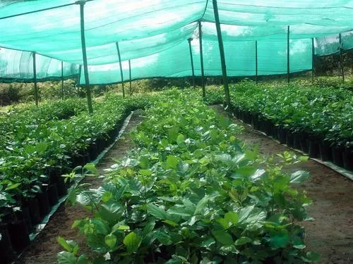 Shade Nets in Hyderabad