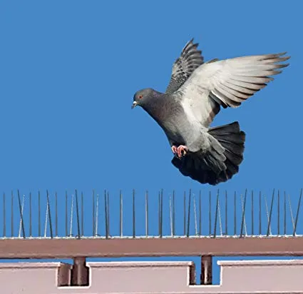 Anti Bird Nets in Mehdipatnam