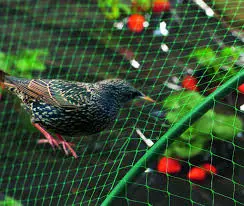Anti Bird Nets in Rajendranagar