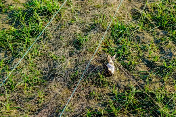 Anti Bird Nets in Moosapet